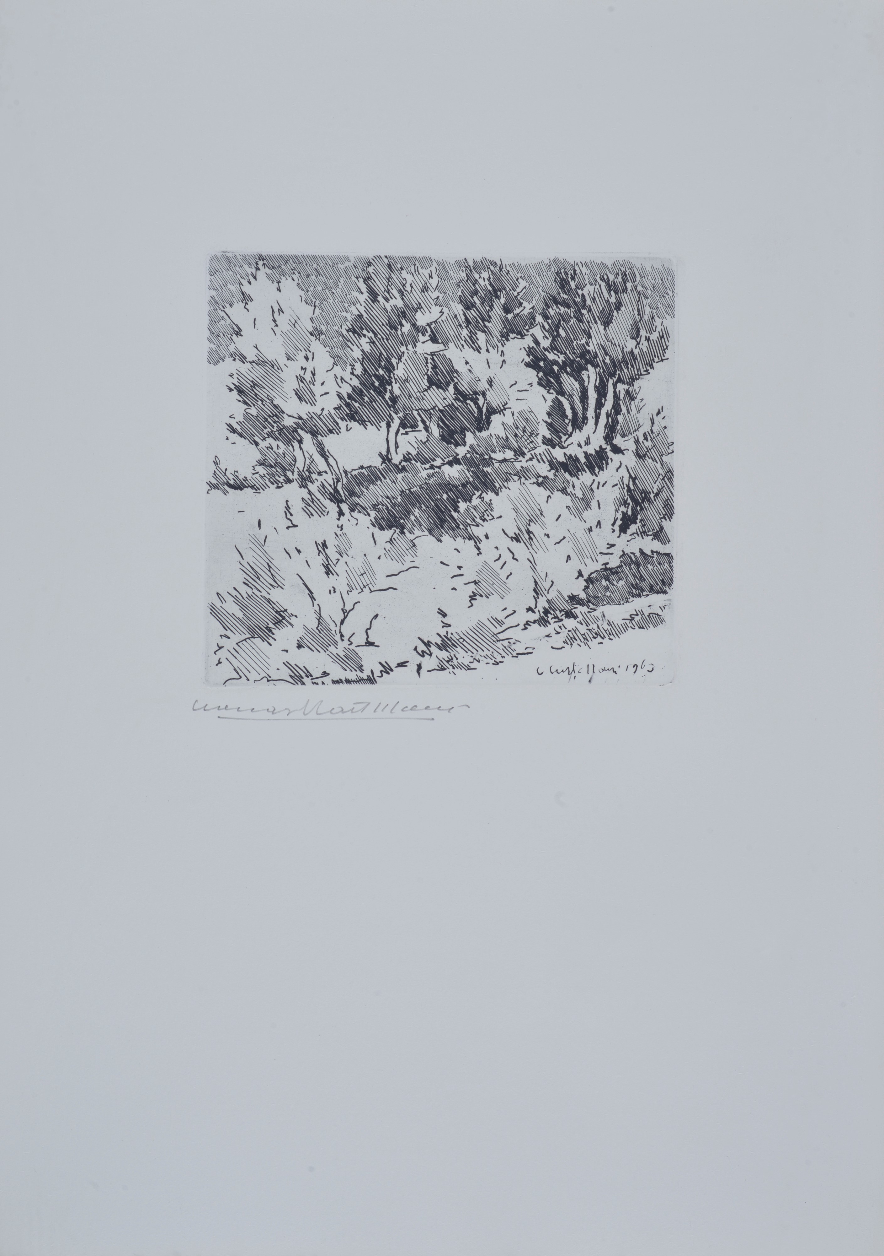 Leonardo Castellani - Carte sotto stampa