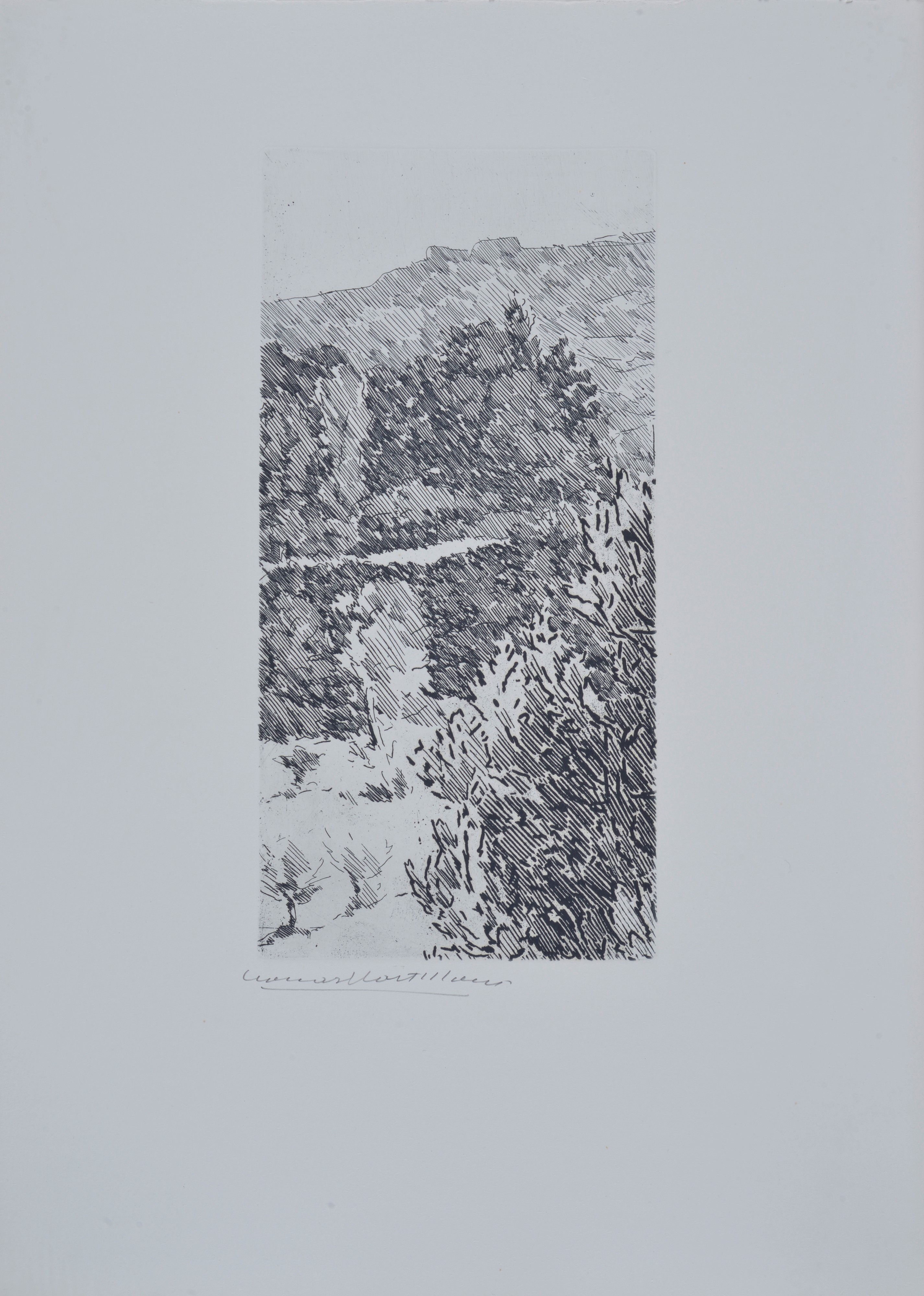 Leonardo Castellani - Carte sotto stampa