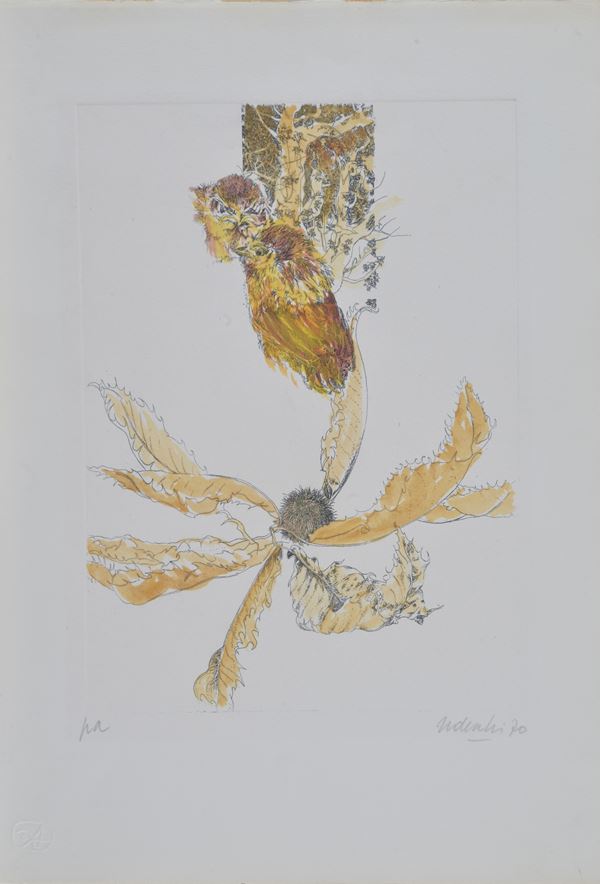 Nani Tedeschi : Senza titolo  (1970)  - Acquaforte - Asta AUTORI DAL XVI AL XXI SEC - Galleria Pananti Casa d'Aste