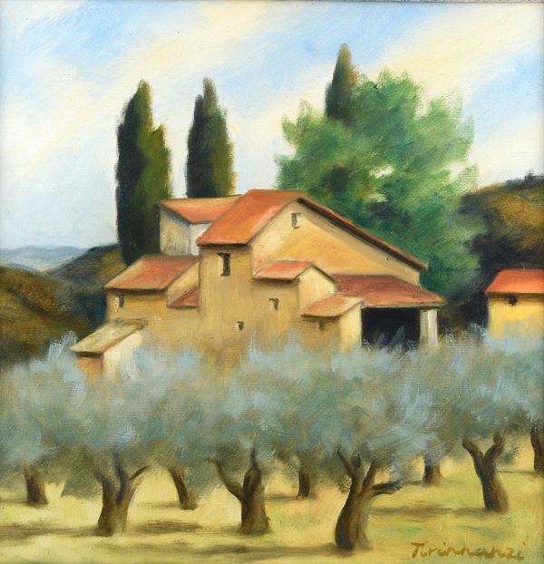 Nino Tirinnanzi - Case nel chianti