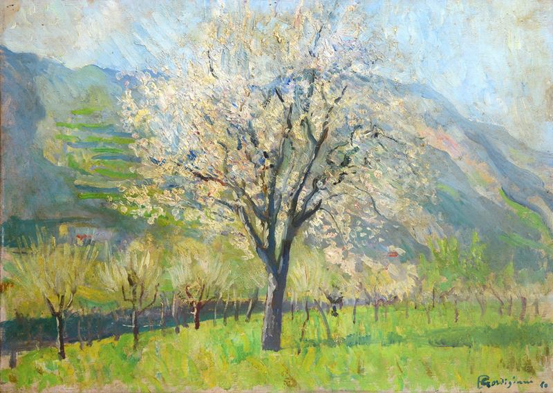 Paesaggio alberato