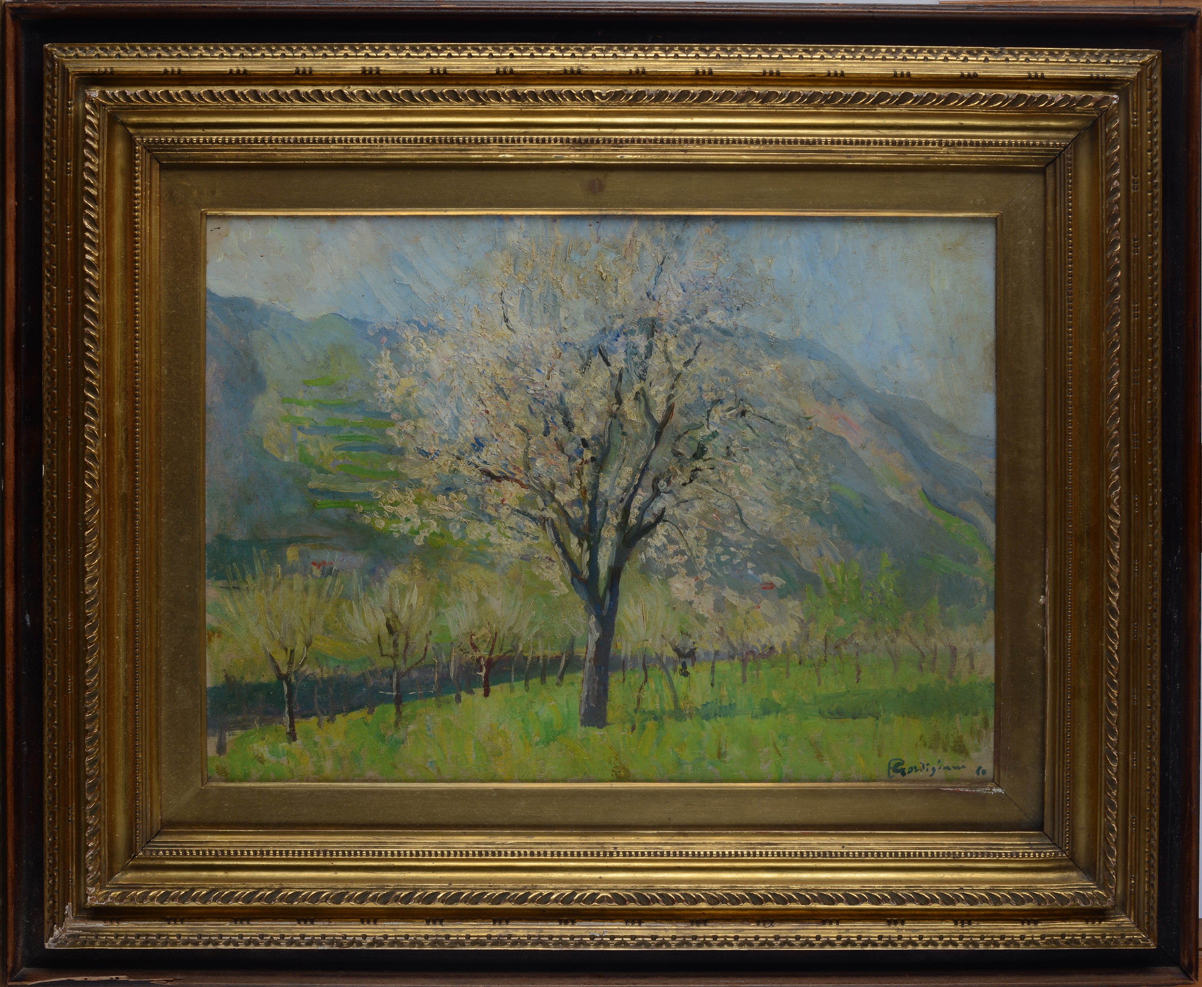 Paesaggio alberato
