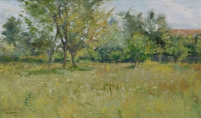 Prato con alberi