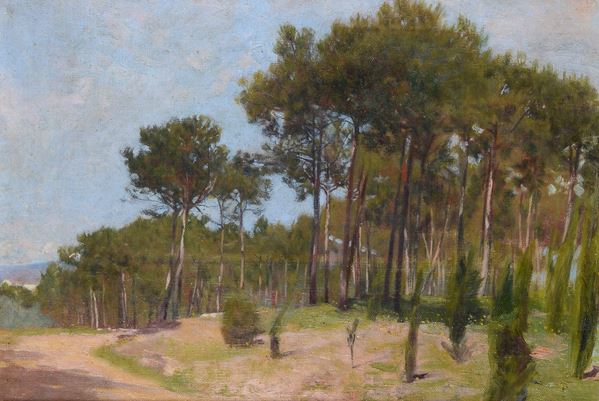 Ruggero Focardi - Pineta