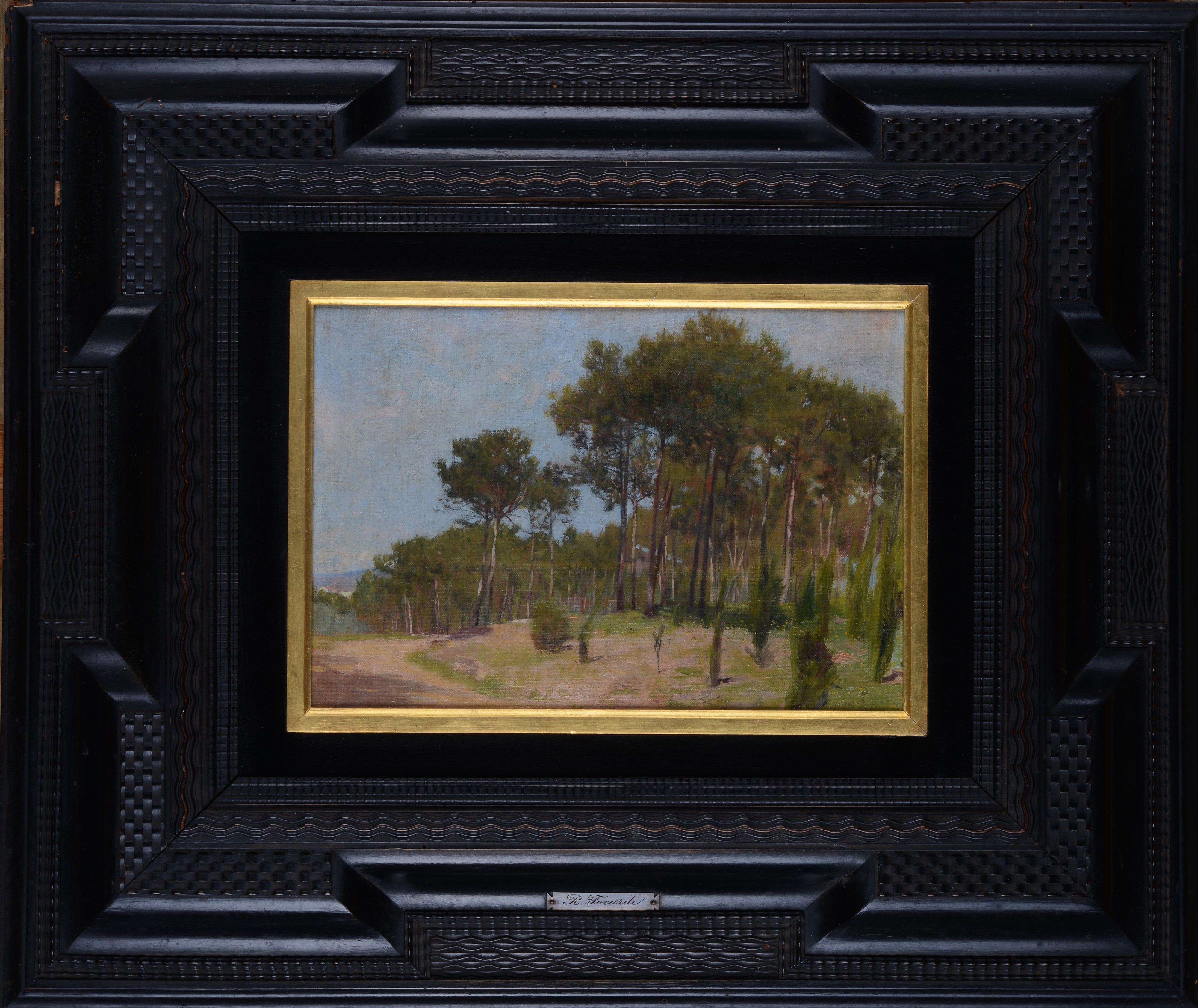 Ruggero Focardi - Pineta