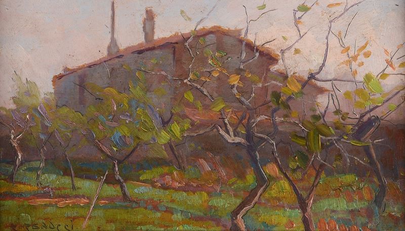 Renuccio Renucci - Campagna