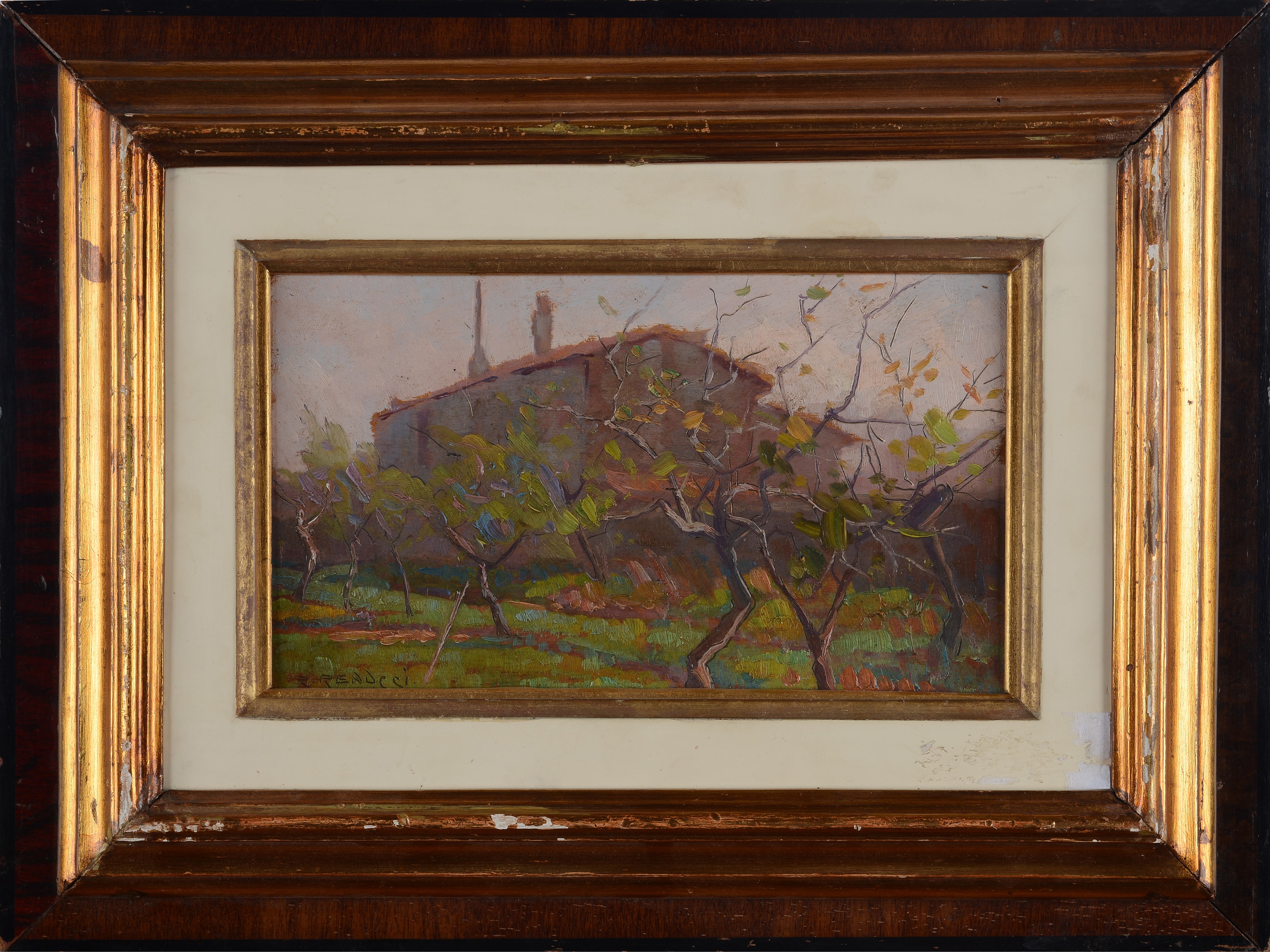 Renuccio Renucci - Campagna