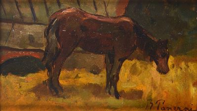 Cavallo