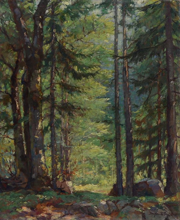 Mario Moretti Foggia - Luci nel bosco