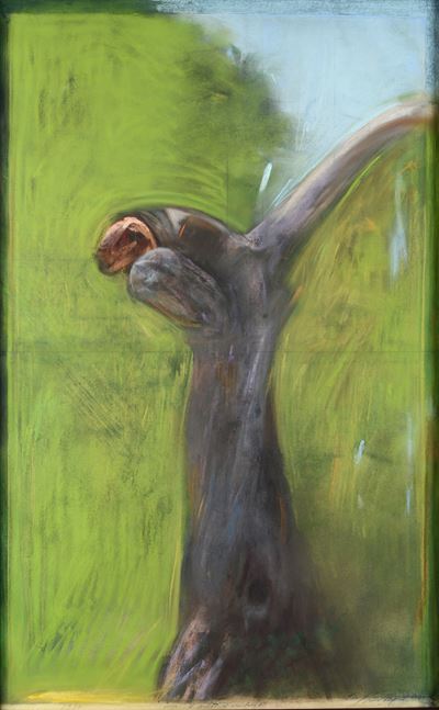 Tronco su campo verde squillante (pastello su carta)