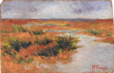 Campo, olio su tavoletta