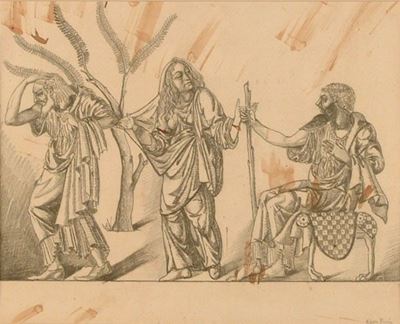 Illustrazione per la Piccola Chelidonio