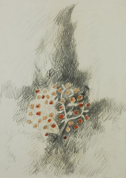 Dino Caponi : Apple and cypress  (1984)  - Pencil on paper - Auction MODERN  ART - TUSCANY AUTHORS - Galleria Pananti Casa d'Aste