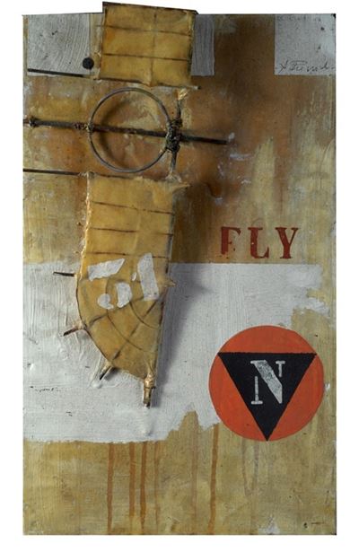 Fly