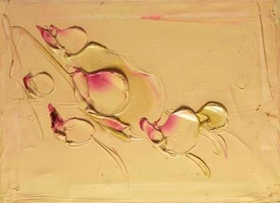 Rose - Omaggio a Scatizzi