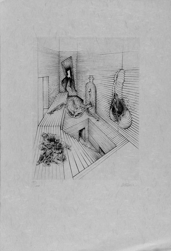 Hans Bellmer - Stanza immaginaria