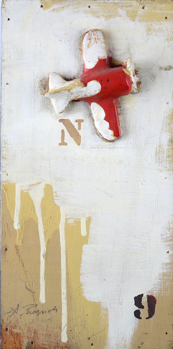 Alessandro Reggioli - Airplane N9