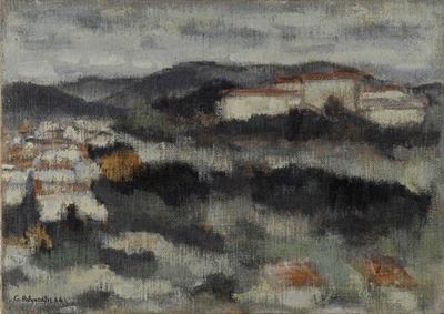 Firenze: Ortopedico
