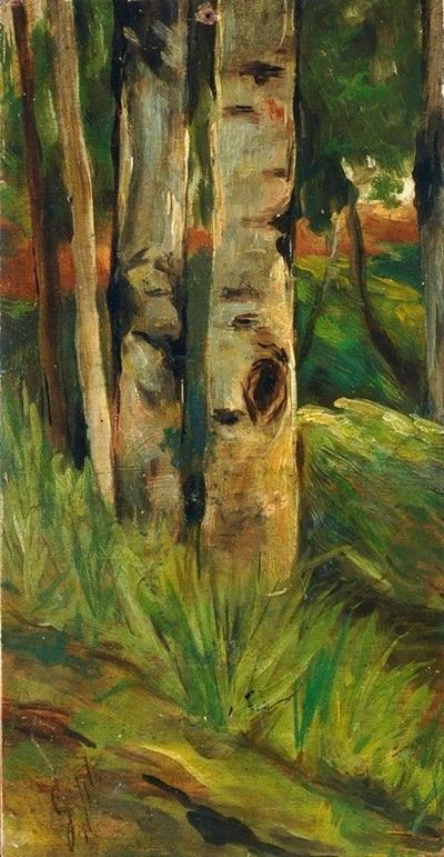 Sottobosco