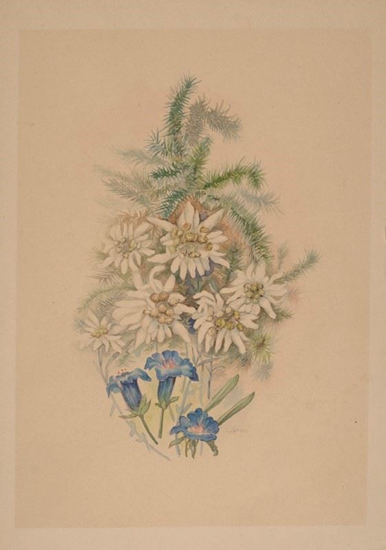 L. Zagori - Edelweiss