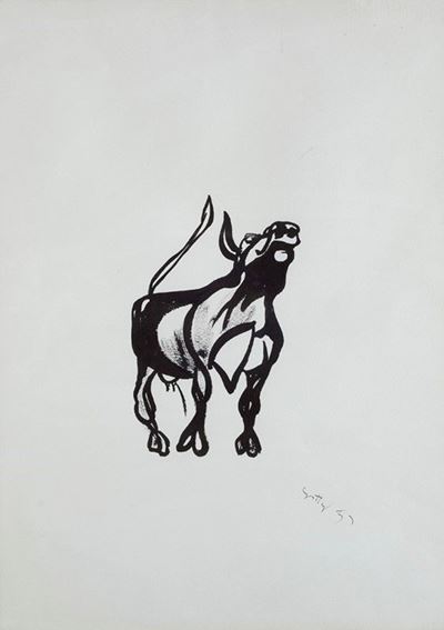 Toro
