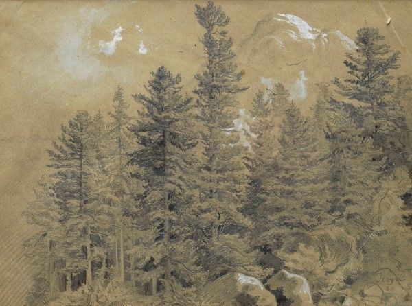Constant Troyon - Bosco