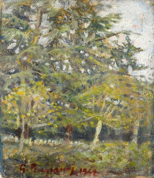 Guido Borgianni - Alberi