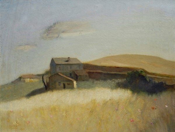 Maceo Casadei - Campo d'avena