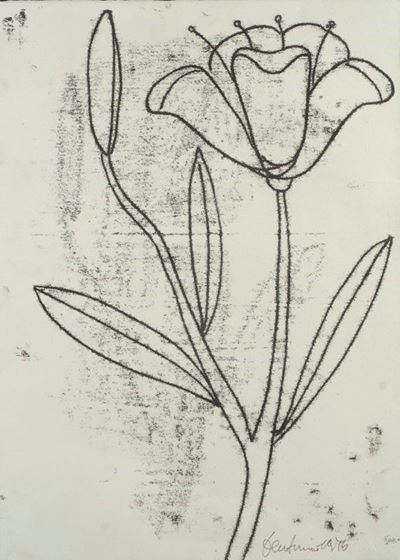 Disegno