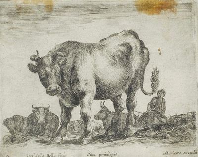 Il Toro