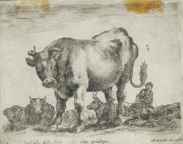 Stefano della Bella - Il Toro