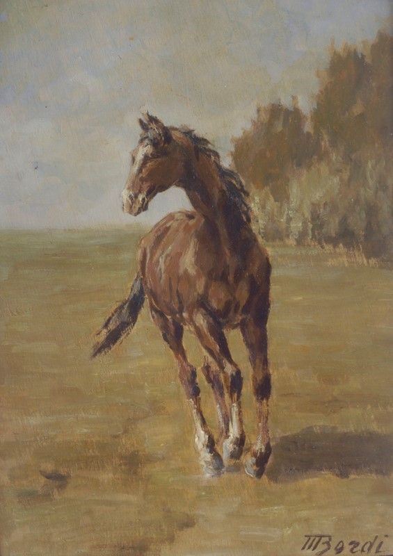Mario Bordi - Cavallo