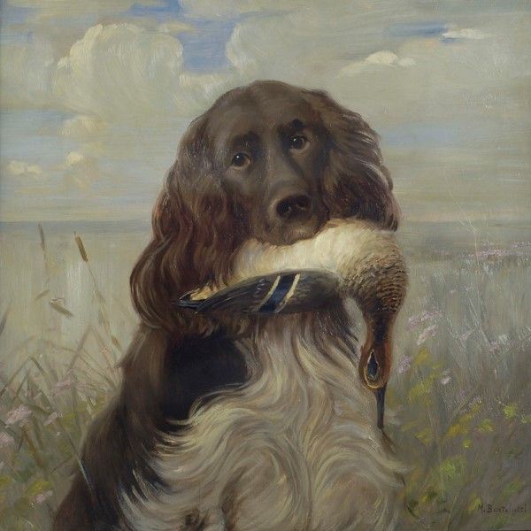 Camillo Bortoluzzi - Cane