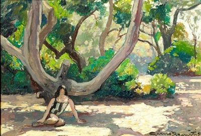 Al Sole in Pineta