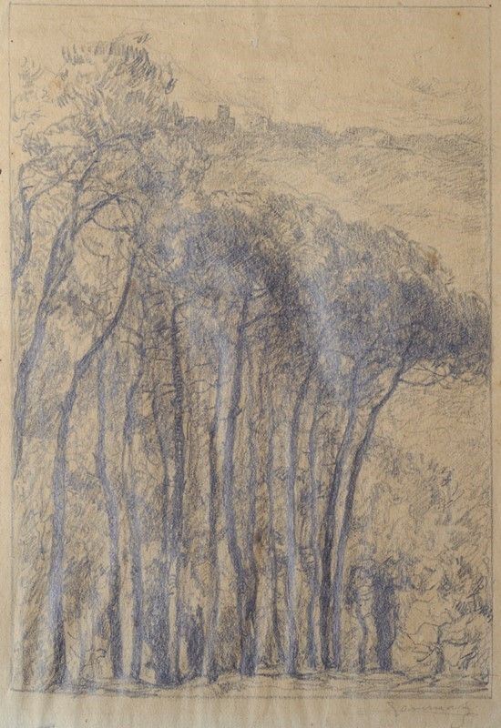 Ludovico Tommasi - Faggeta