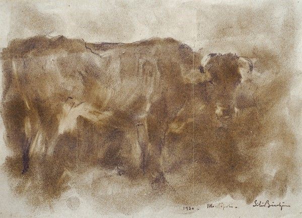 Silvio Bicchi : Toro  (1930)  - Carboncino su carta - Asta Autori dell'800 e 900 - Galleria Pananti Casa d'Aste