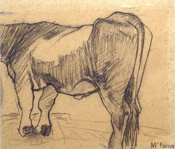 Mario Puccini - Mucca