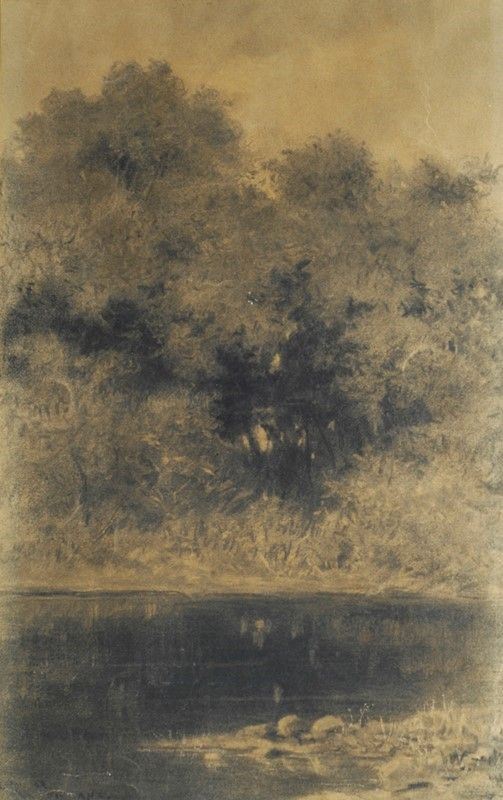 Roberto Fontana - Stagno