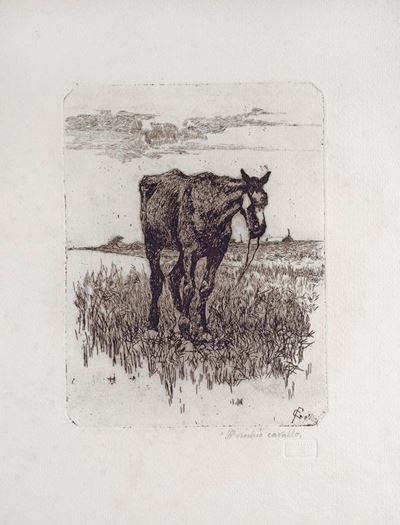 Il Vecchio Cavallo