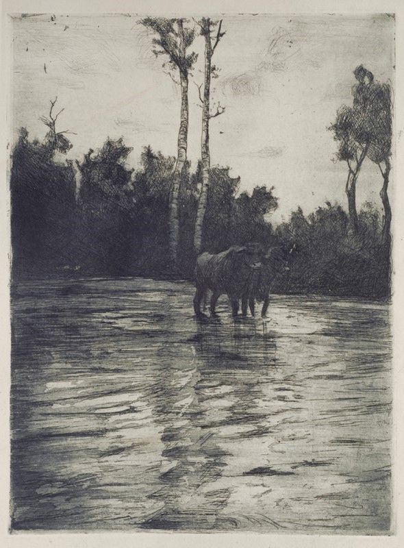 Attr. a Luigi Serena - Buoi