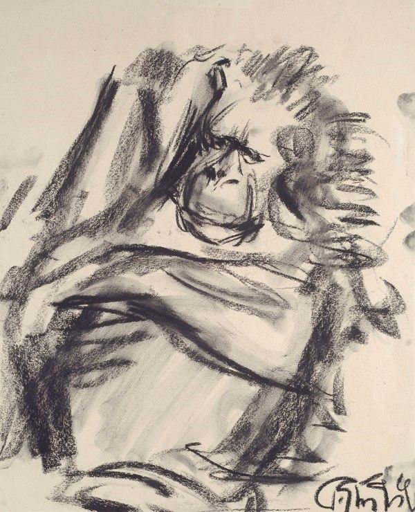 Paulo Ghiglia : Scimmia  - Carboncino - Auction Autori dell'800-900, Arte Moderna e Contemporanea, Grafica ed Edizioni - Galleria Pananti Casa d'Aste