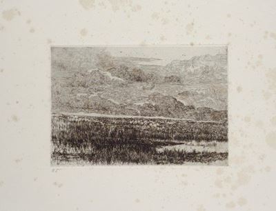 Palude