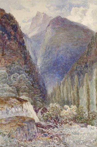 Paesaggio Montano