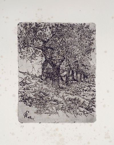 Alberi