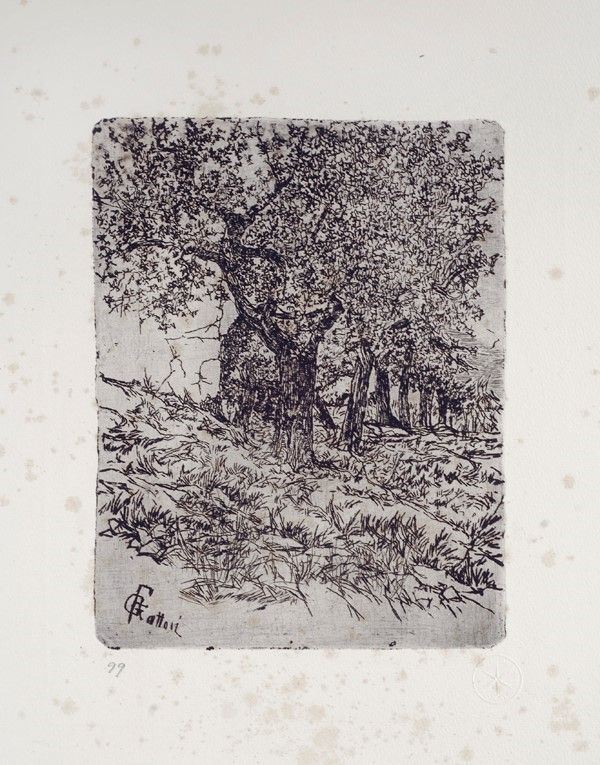 Giovanni Fattori - Alberi