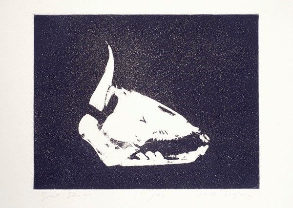 Giuseppe Zigaina : Skull  - Acquatinta - Auction Opere grafiche del XIX e XX sec. - Galleria Pananti Casa d'Aste