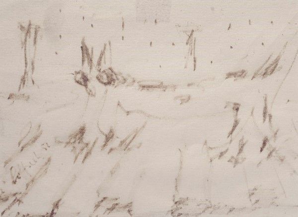 Silvio Loffredo - Gatto