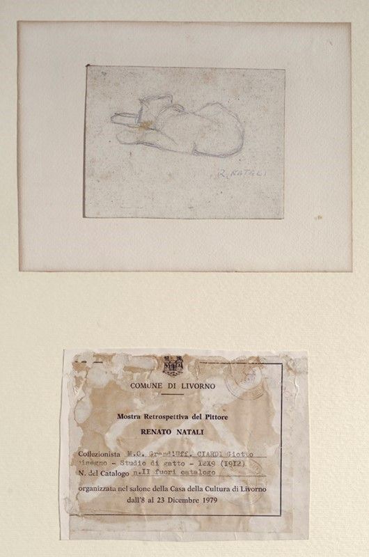 Renato Natali : Studio di gatto  ((1912))  - Matita su carta - Asta Autori dell'800 e 900 - Galleria Pananti Casa d'Aste