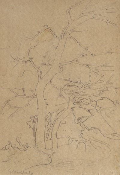 Albero Lungo il Ruscello