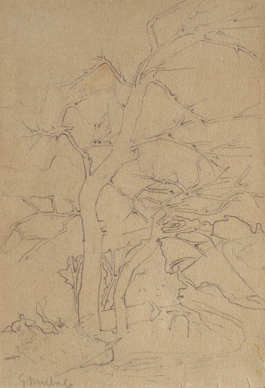 Guglielmo Micheli - Albero lungo il ruscello